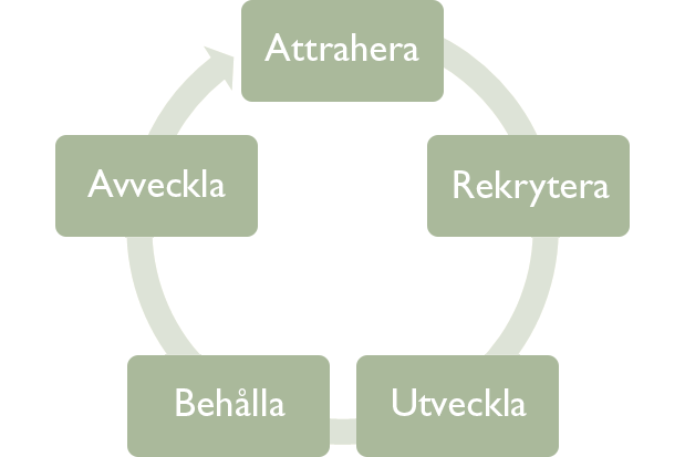 ARUBA-modellen